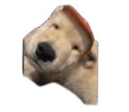 886847494