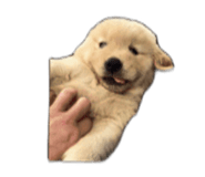 886847512