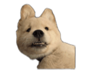 886847517
