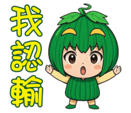 886851255