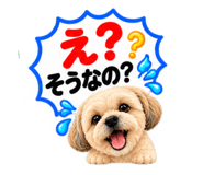 886882500