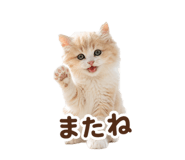 886896266