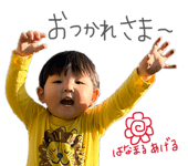 886958164