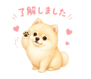 886963030