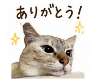886965083