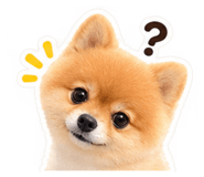 887039646
