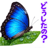 887041351