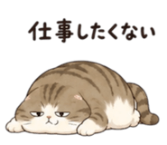 887044816