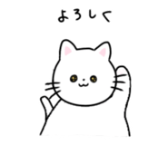 887079254