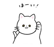 887079262