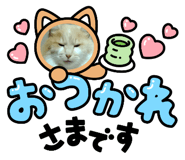 887137973