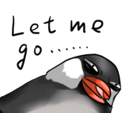 8871486