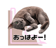 887173804