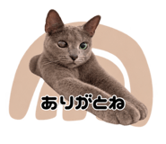 887173809