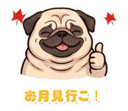 887183155