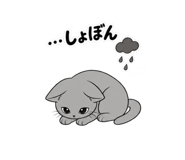 887236577