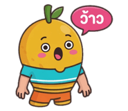887272894