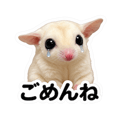 887357610