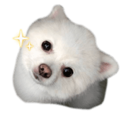 887470871