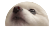 887470872