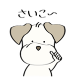 88747262