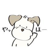 88747268