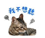 887486015