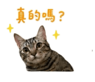 887486018