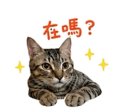 887486020