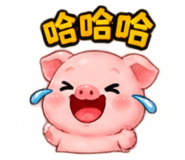 887516276