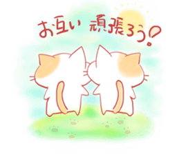 8875325