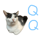 887556274