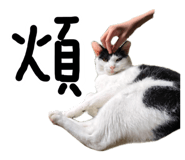 887556282