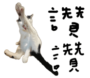 887556286
