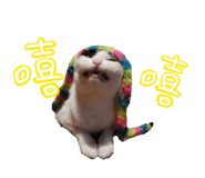 887556287