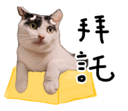 887556288