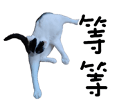 887556289