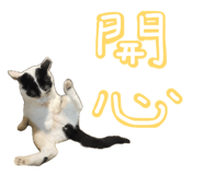 887556296