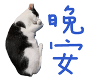 887556299