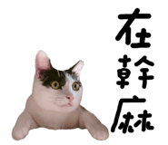 887556301