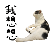 887556302
