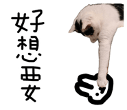 887556308