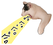 887556310