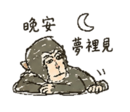 887560818
