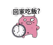 887564554