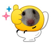 887565181