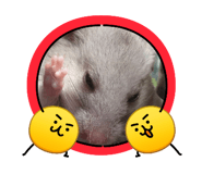 887565183