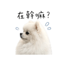 887574405