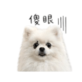 887574416
