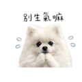 887574423